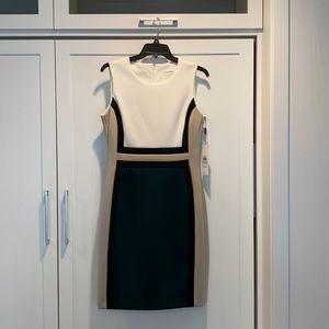 NWT Calvin Klein (Sz 8) Dress
